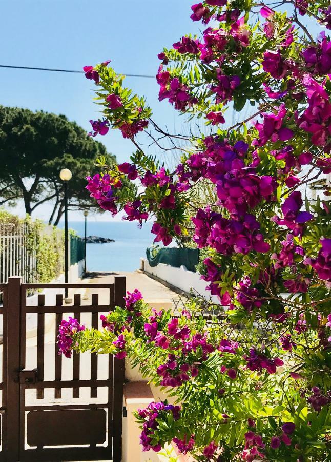 Ro Holiday home